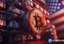 What is a Bitcoin strategic reserve? BTC holdings