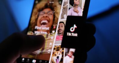 TikTok quickly pauses dating live chat test