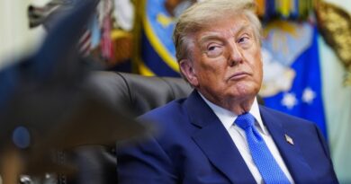 Trump administration enlists private companies to fight cyberattacks