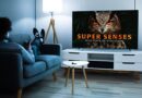 Want smarter screen time? This documentary streaming service is now $130 for life.