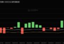 Bitcoin ETFs Snapped a 9-Day Streak: Does One Bad Day Mean Anything?