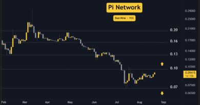 Pi Network Price Predictions for This Week (August 21)
