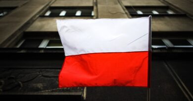 Security researchers scanned the Polish web and found courts, hospitals, and airports at risk of hacks