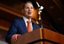 Senator asks US government watchdog to review how feds use hacking tools