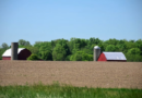A Farmer Trusted AI’s Advice. It Cost Him 25 Acres of Crops