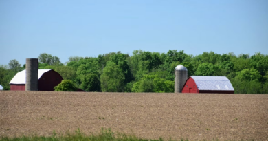 A Farmer Trusted AI’s Advice. It Cost Him 25 Acres of Crops