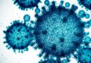 Scientists Used AI to Create 16 New Viruses