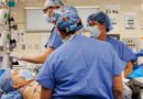 Transplanted Pig Kidney Still Working After a Record-Setting 9 Months in a Patient