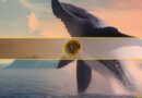 Bitcoin Whales Remain on the Sidelines Ahead of Chaotic 10 Days: What’s Coming?