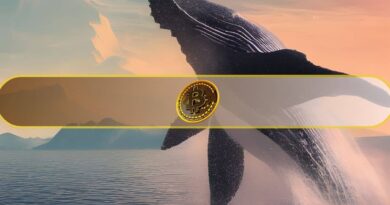 Bitcoin Whales Remain on the Sidelines Ahead of Chaotic 10 Days: What’s Coming?