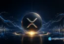 XRP holders can join XRPPower’s automated trading system for a limited time and earn a stable daily income of $5,000