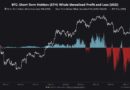 Bitcoin’s $9.07B Whale Profit Record Puts Rally Floor to Test