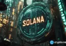 Solana leads RWA networks with $348m monthly inflows