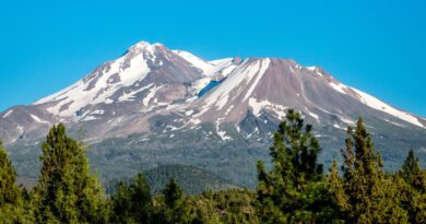 Hikers rescued after using Google Gemini for planning