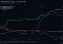 Bitcoin Price Rally Hid a 60,000 BTC Whale Buying Spree