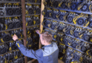 Zcash Price Spike Fuels Massive Mining Profits and Hashrate Boom
