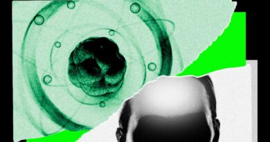 AI Came for Math. Now It’s Chasing the Rest of Science
