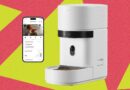 These 12 Automatic Cat Feeders Were the Best We Tested in 2026