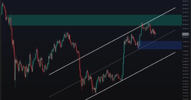 Will BTC Lose the $80K Support Next Week?