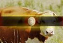 These 5 Bitcoin Indicators Have Turned Bullish for the First Time Since 2025: Report