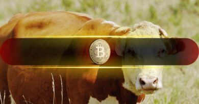 These 5 Bitcoin Indicators Have Turned Bullish for the First Time Since 2025: Report