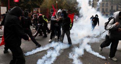 French Government Calls Emergency Meetings With Platforms Over Protests