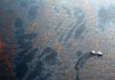 Oil Spills Wreak Havoc on the Bottom of the Ocean, Even a Decade Later