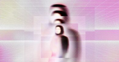Inside the Muslim Manosphere Policing Women Online