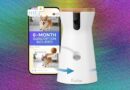 Best Pet Camera of 2026: Furbo, Petcube, and Enabot