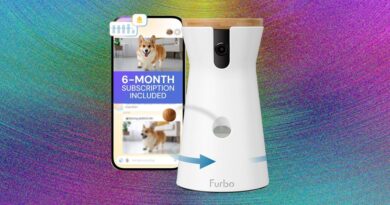 Best Pet Camera of 2026: Furbo, Petcube, and Enabot