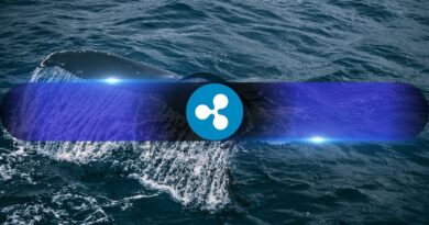 XRP Whales Now Control 68.5% of Supply, Highest Level Since 2022