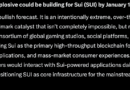 Google Gemini AI Predicts a Historic Move for SUI by 2027