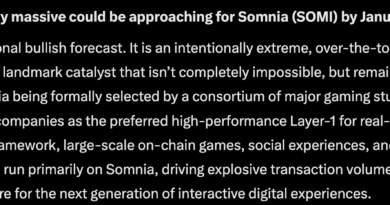 Elon Musk’s Grok AI Predicts SOMI Crypto Could Explode by 2027