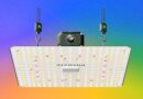 The Best LED Grow Lights for Houseplants This Winter (2026)