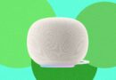 The Google Home Speaker Has Been Secretly Eating My Wi-Fi Data