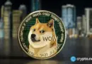 Dogecoin records $57M net outflows: What’s next?