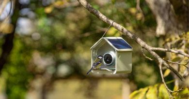 Birdbuddy smart bird feeder launch: Price, specs, and availability