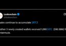 Bitcoin Worth $90 Million Pulled From Wintermute by a Mystery Whale